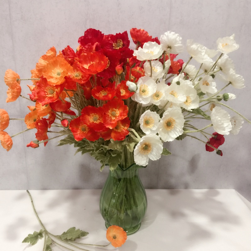 红白花