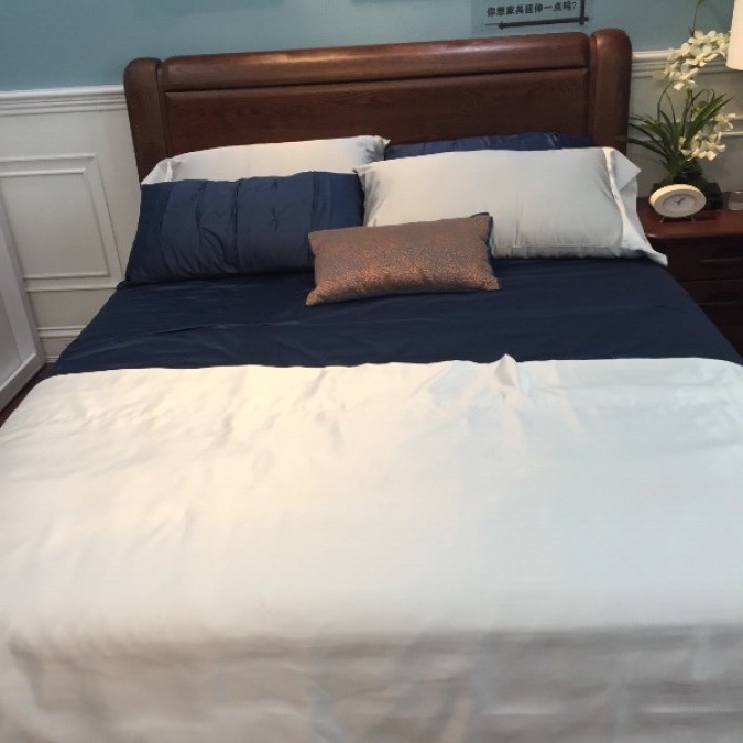 双叶家居ct22b0床